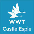 WWT Castle Espie